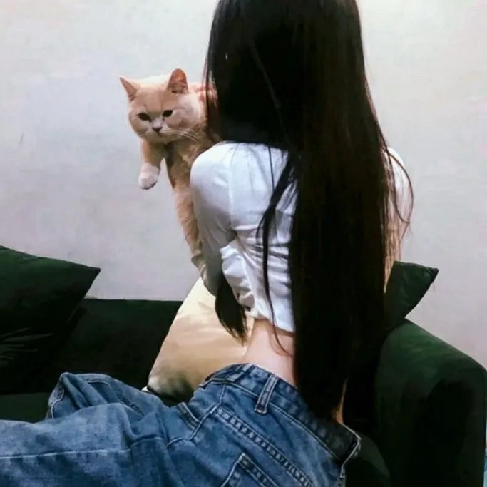 泽西女孩